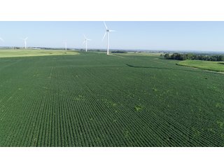 Bureau County, Illinois farmland - LAND AND WIND RIGHTS AUCTION - 337+/- ACRES IN 4 TRACTS IN BUREAU COUNTY, ILLINOIS